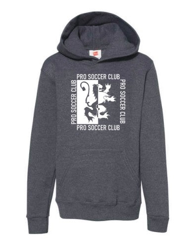 PSC Lion logo on Hoodie