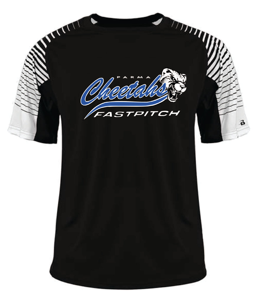 Cheetahs Fastpitch line up tshirt